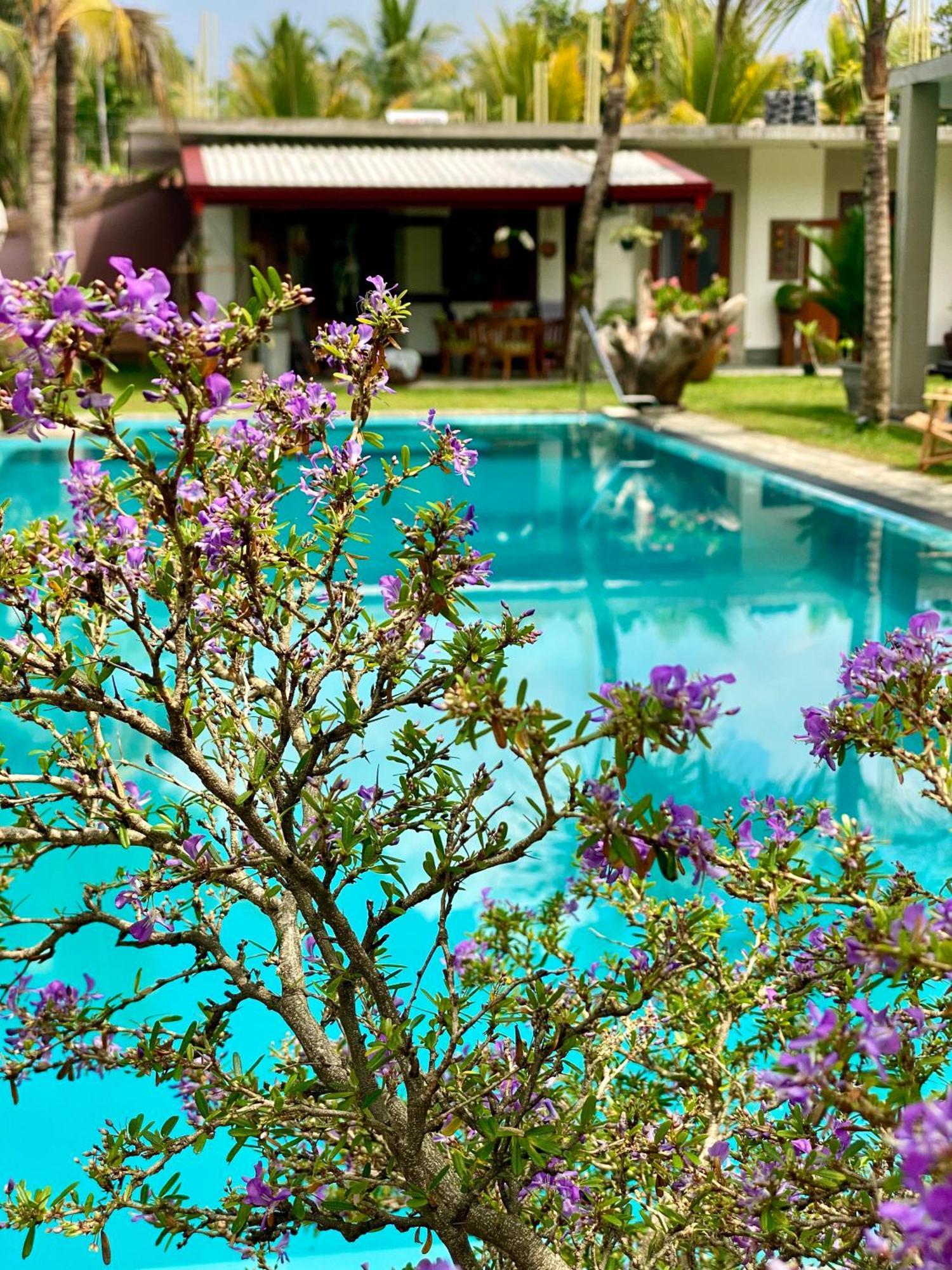 Sri Palms Kosgoda Exterior foto